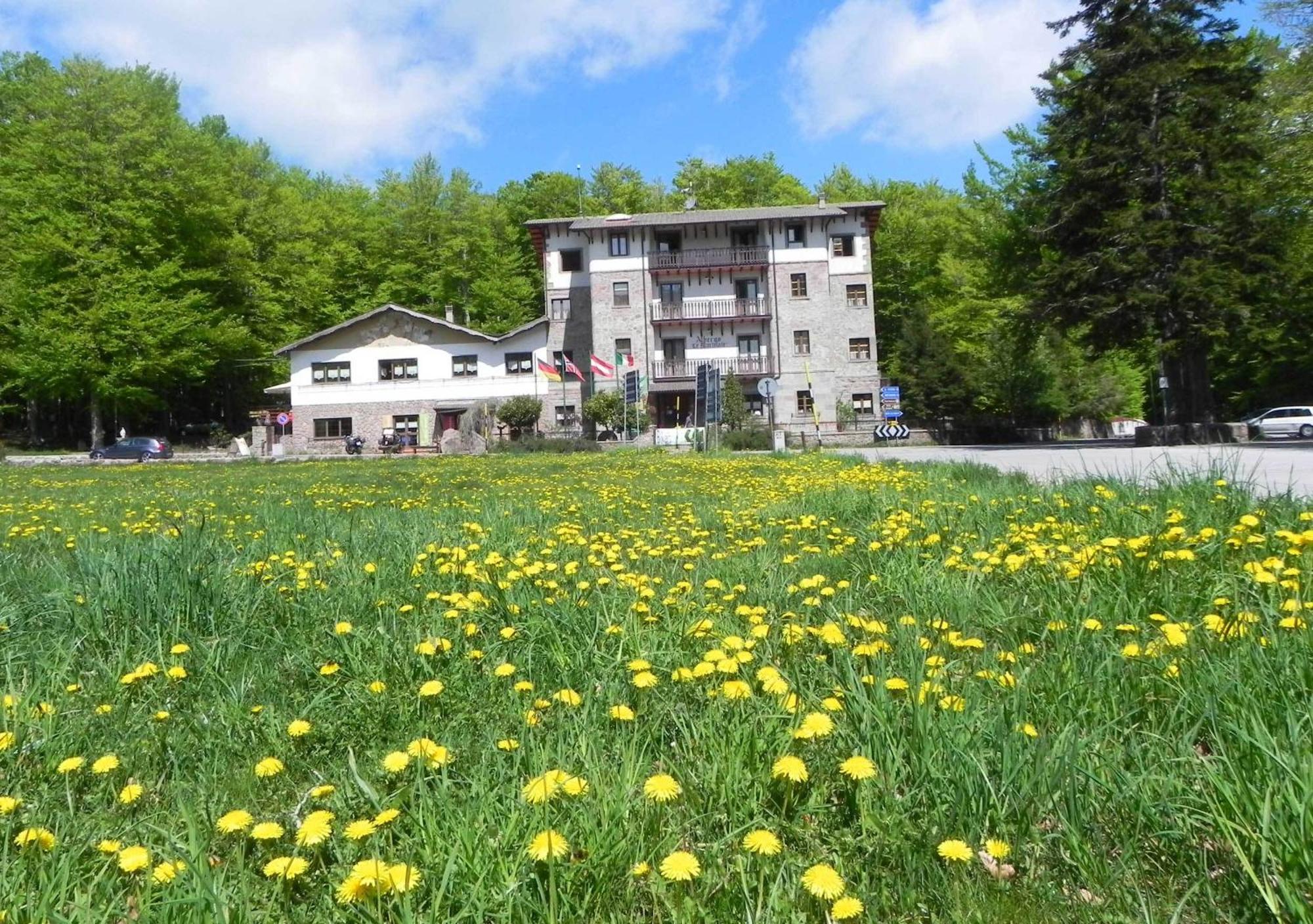 Albergo Le Macinaie - Monte Amiata Castel del Piano  Dış mekan fotoğraf