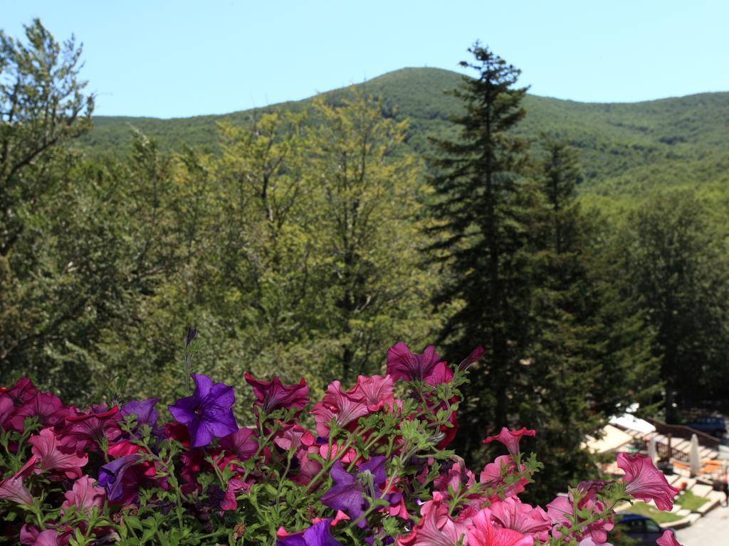 Albergo Le Macinaie - Monte Amiata Castel del Piano  Dış mekan fotoğraf